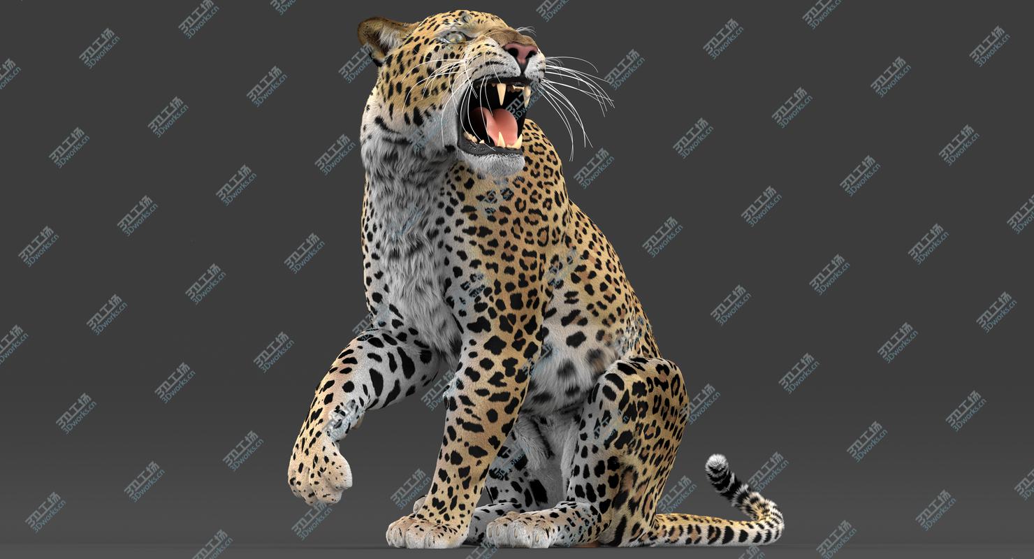 images/goods_img/2021040161/Leopard (Rigged-Fur) 3D model/2.jpg